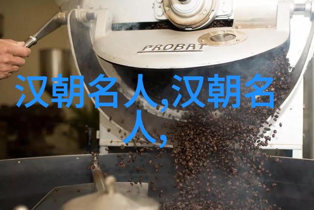韩安国(公元前127年)