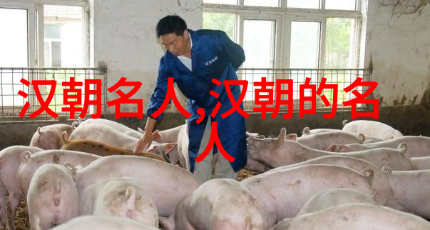 窦婴(公元前131年)