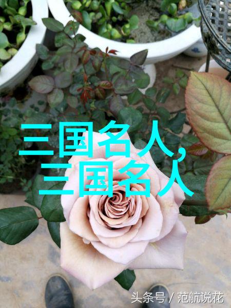 虞翻